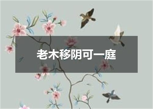 老木移阴可一庭