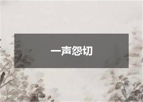 一声怨切