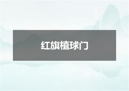 红旗植球门
