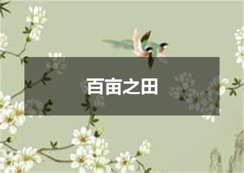百亩之田