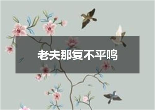 老夫那复不平鸣