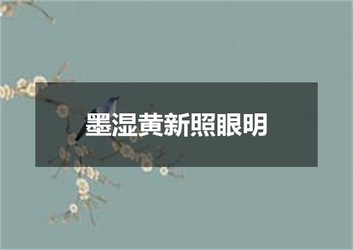 墨湿黄新照眼明