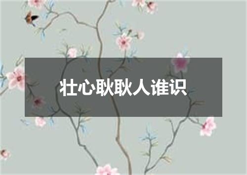 壮心耿耿人谁识