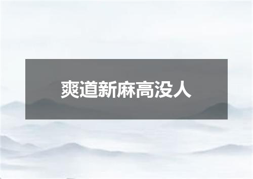 爽道新麻高没人