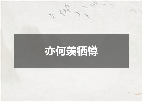 亦何羡牺樽