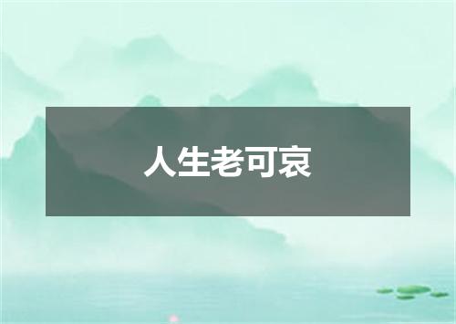 人生老可哀