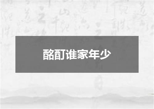 酩酊谁家年少