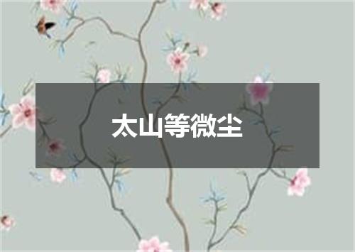 太山等微尘