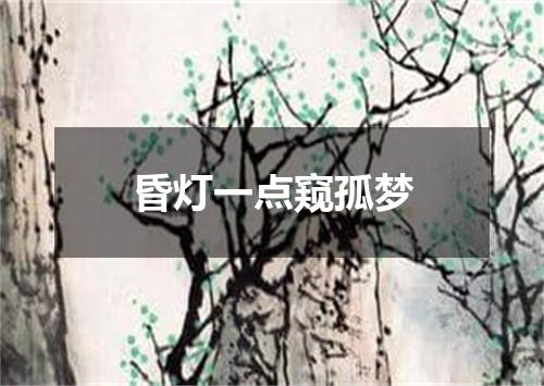 昏灯一点窥孤梦