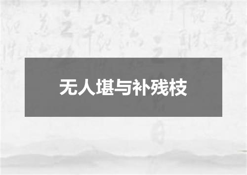 无人堪与补残枝