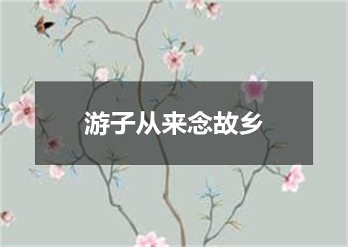 游子从来念故乡