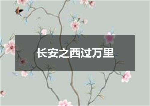 长安之西过万里