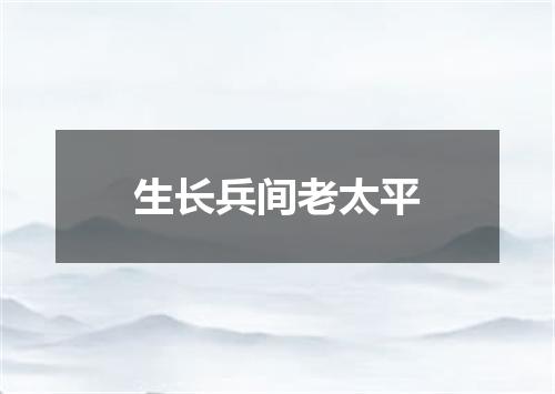 生长兵间老太平
