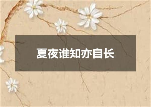 夏夜谁知亦自长