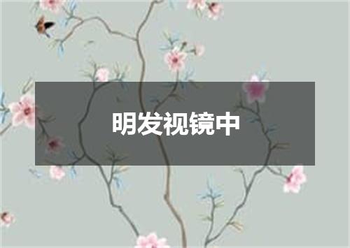 明发视镜中