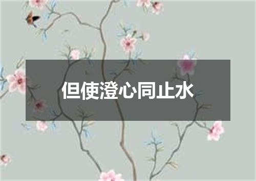 但使澄心同止水