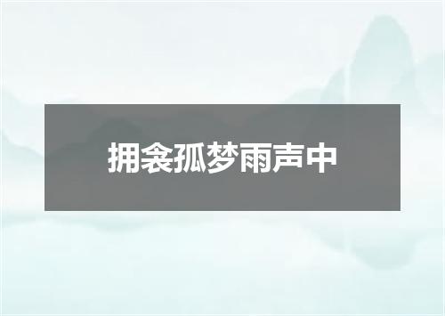 拥衾孤梦雨声中