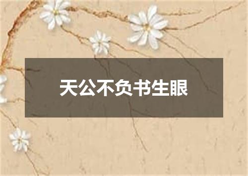 天公不负书生眼
