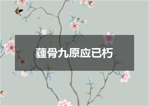 薶骨九原应已朽