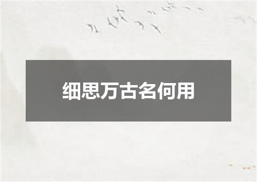细思万古名何用