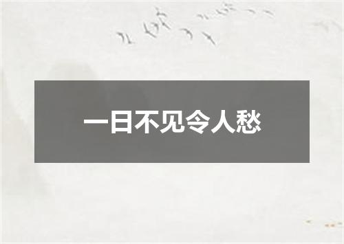 一日不见令人愁