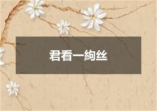 君看一絇丝