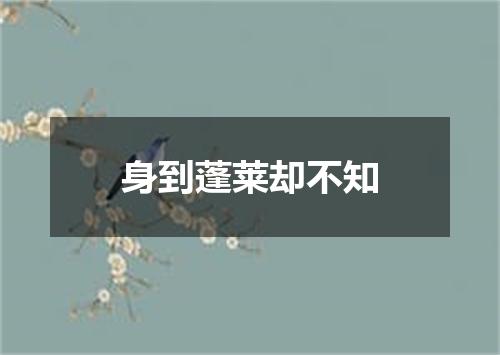 身到蓬莱却不知