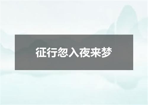 征行忽入夜来梦