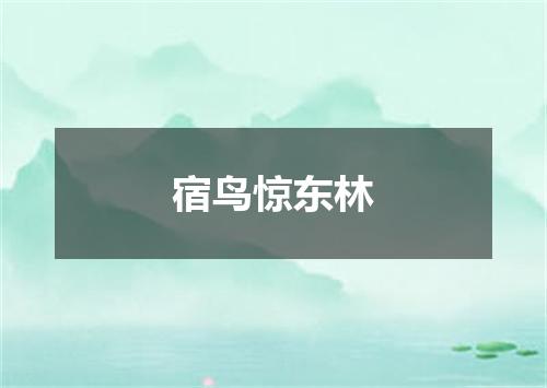宿鸟惊东林