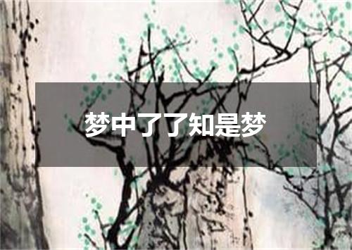 梦中了了知是梦