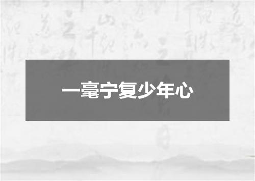一毫宁复少年心