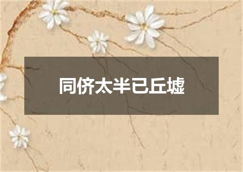 同侪太半已丘墟