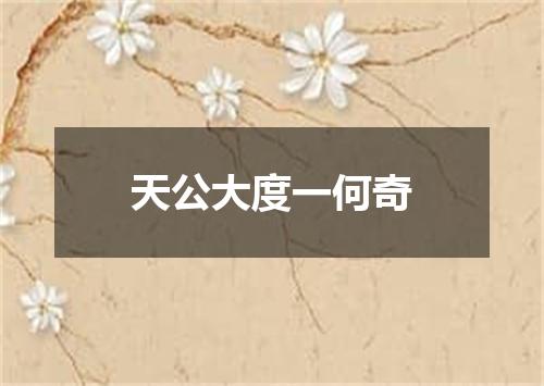 天公大度一何奇