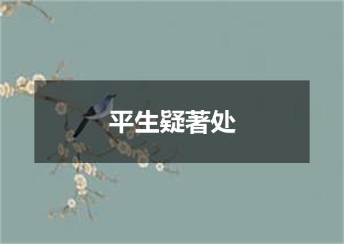 平生疑著处
