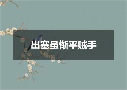 出塞虽惭平贼手