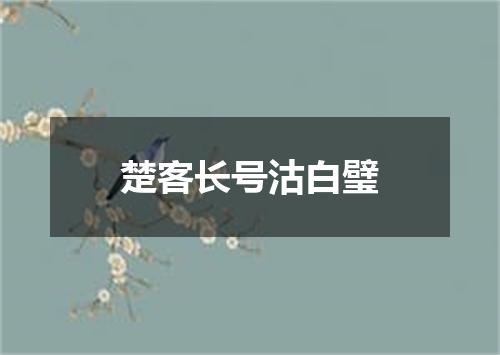 楚客长号沽白璧