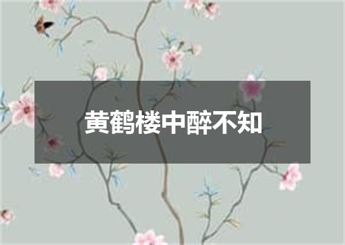 黄鹤楼中醉不知