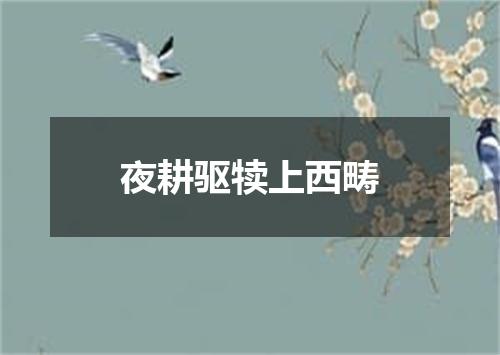 夜耕驱犊上西畴