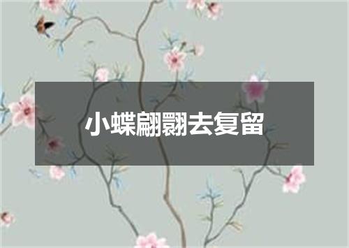 小蝶翩翾去复留