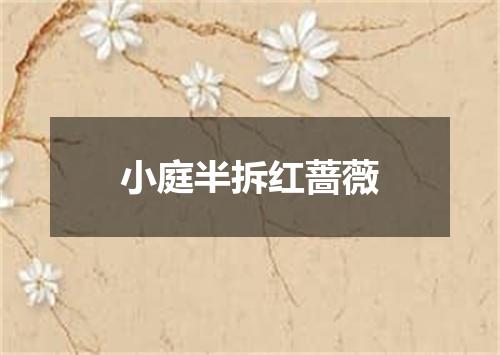 小庭半拆红蔷薇