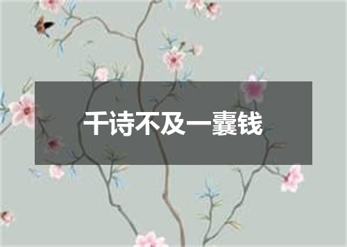 千诗不及一囊钱
