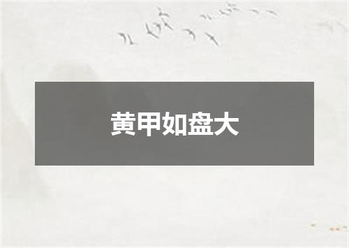 黄甲如盘大