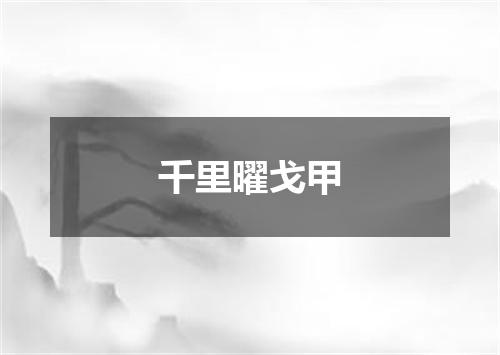 千里曜戈甲