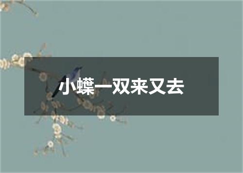 小蠂一双来又去