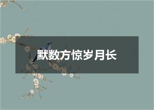 默数方惊岁月长