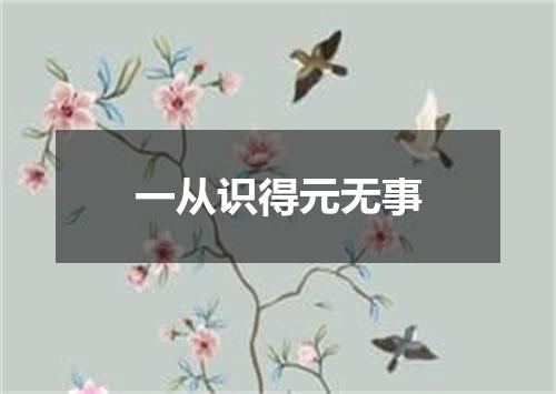 一从识得元无事