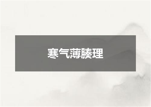 寒气薄腠理