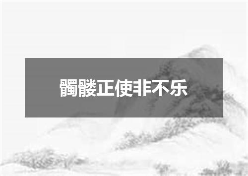 髑髅正使非不乐