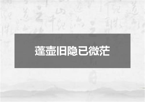 蓬壶旧隐已微茫