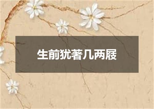 生前犹著几两屐